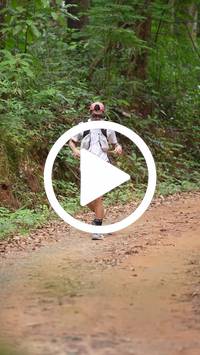 BIB:  <button type="button" onclick="openModal(26817734)" class="btn btn-primary btn-sm float-right" data-toggle="modal" data-target=".modal-high-quality">
                <i class="fa fa-download"></i> Download
                </button>